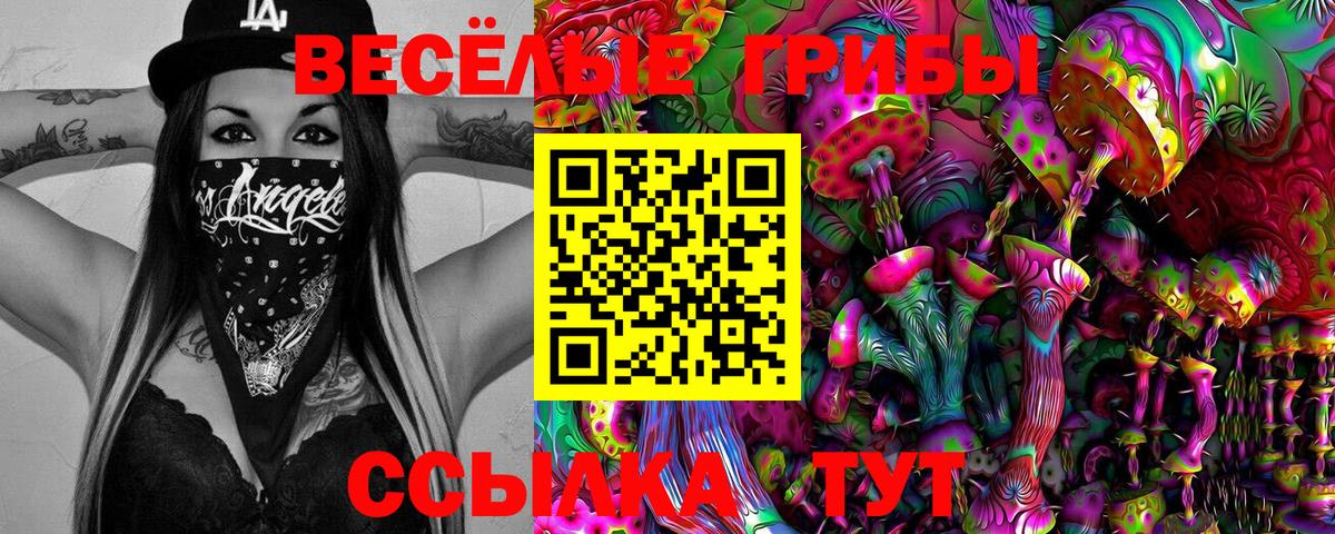 Псилоцибиновые грибы мухоморы  Вход с VPN  Кулебаки 